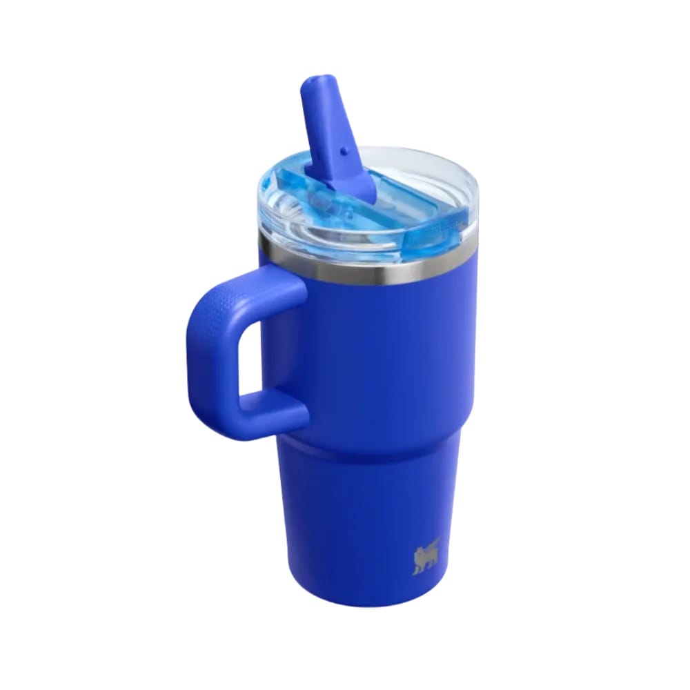 Stanley Quencher ProTour Flip Straw Tumbler 20 OZ Cobalt
