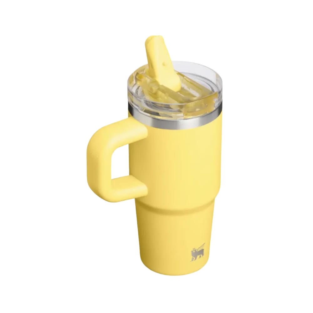 Stanley Quencher ProTour Flip Straw Tumbler 14 OZ Daffodil