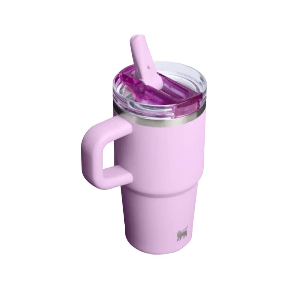 Stanley Quencher ProTour Flip Straw Tumbler 20 OZ Soft Orchid