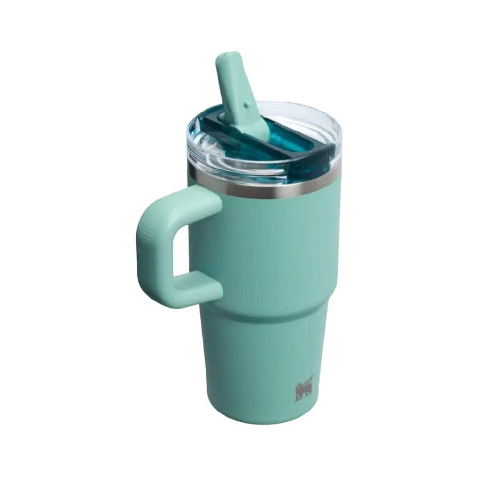 Stanley Quencher ProTour Flip Straw Tumbler 20 OZ Spring Green