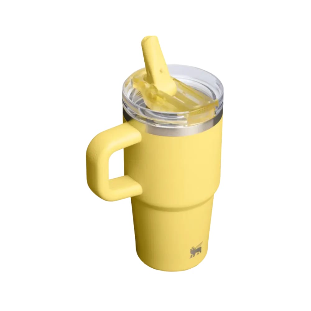 Stanley Quencher ProTour Flip Straw Tumbler 20 OZ Daffodil