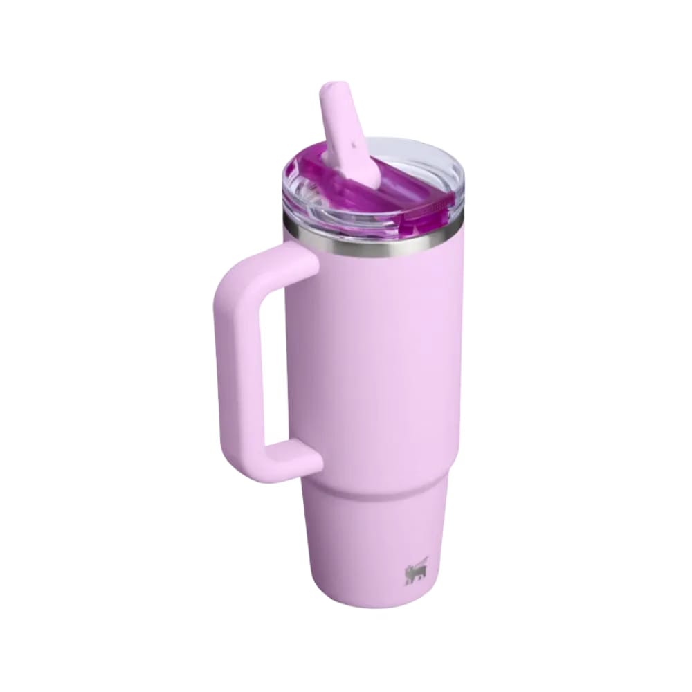 Stanley Quencher ProTour Flip Straw Tumbler 30 OZ Soft Orchid