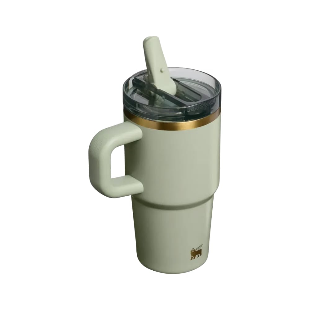 Stanley Quencher ProTour Flip Straw Tumbler (20OZ) Juniper