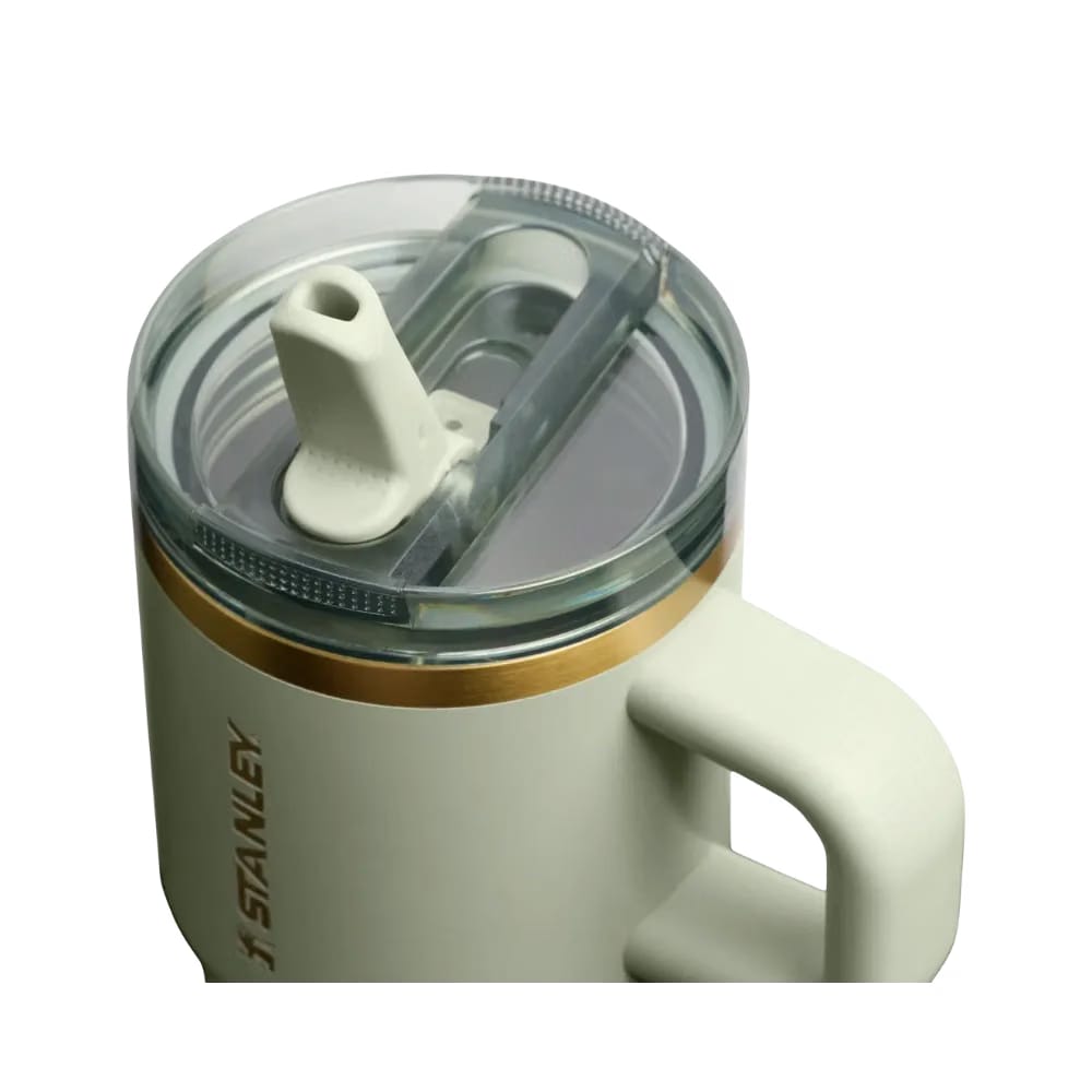 Stanley Quencher ProTour Flip Straw Tumbler (20OZ) Juniper