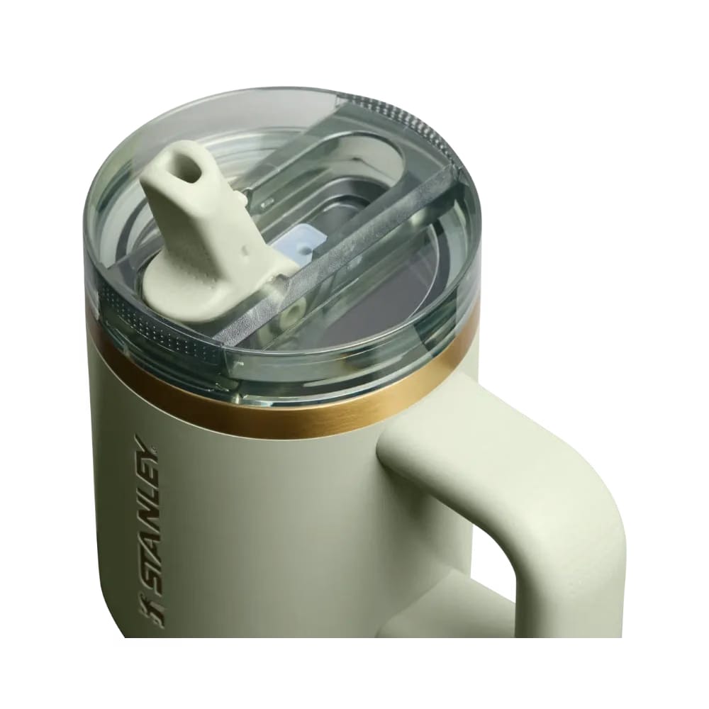 Stanley Quencher ProTour Flip Straw Tumbler (14OZ) Juniper