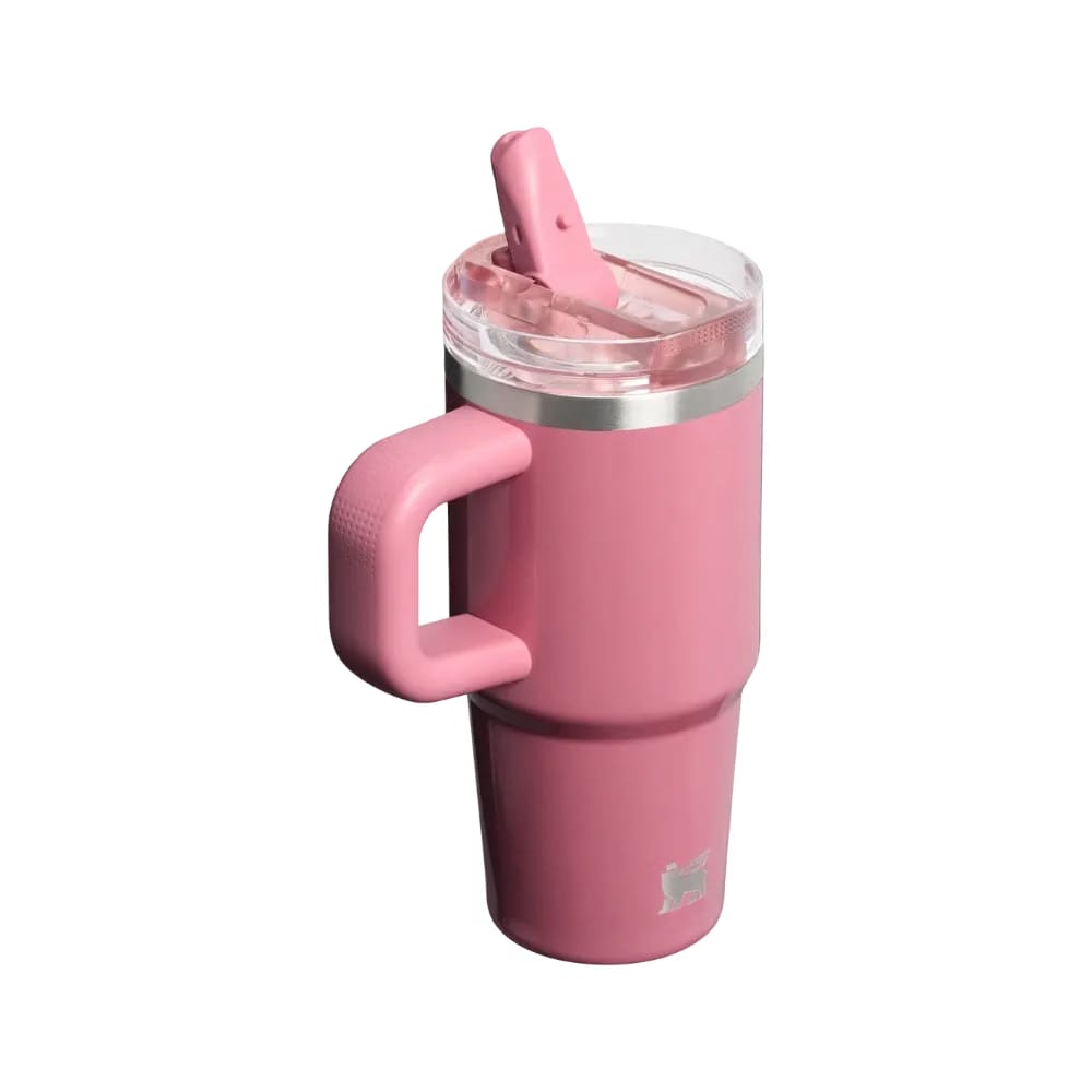 Stanley Quencher ProTour Flip Straw Tumbler (14OZ) Port Shimmer