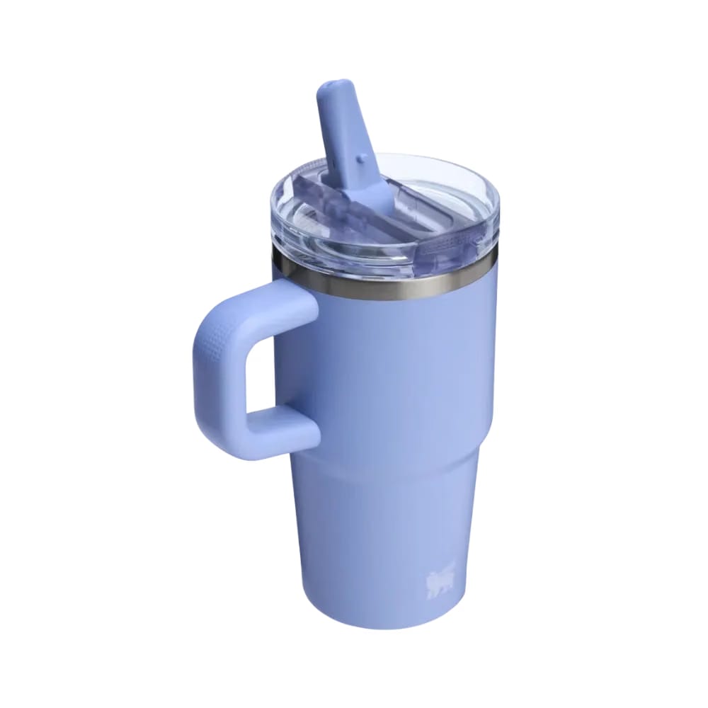 Stanley Quencher ProTour Flip Straw Tumbler 'Hydrangea'