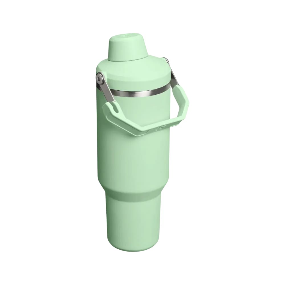 Stanley IceFlow Tumbler with Fast Flow Lid (40OZ) Pistachio