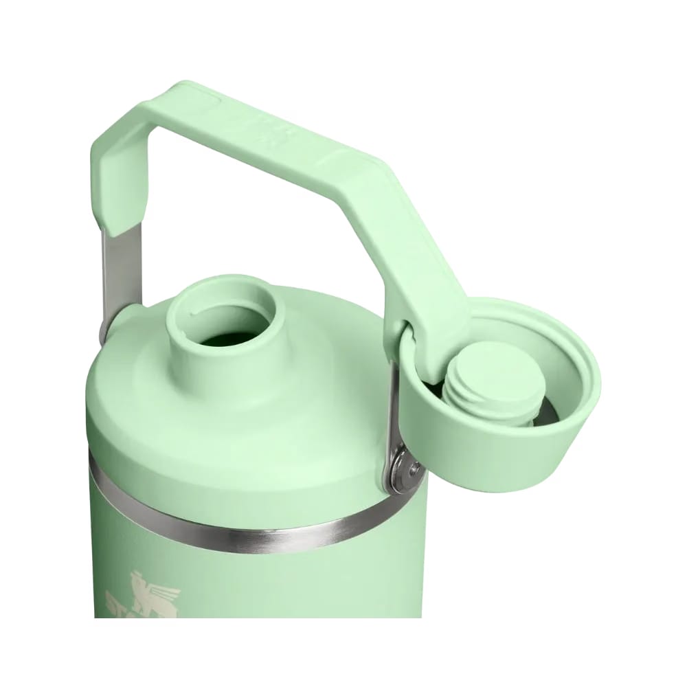 Stanley IceFlow Tumbler with Fast Flow Lid (40OZ) Pistachio