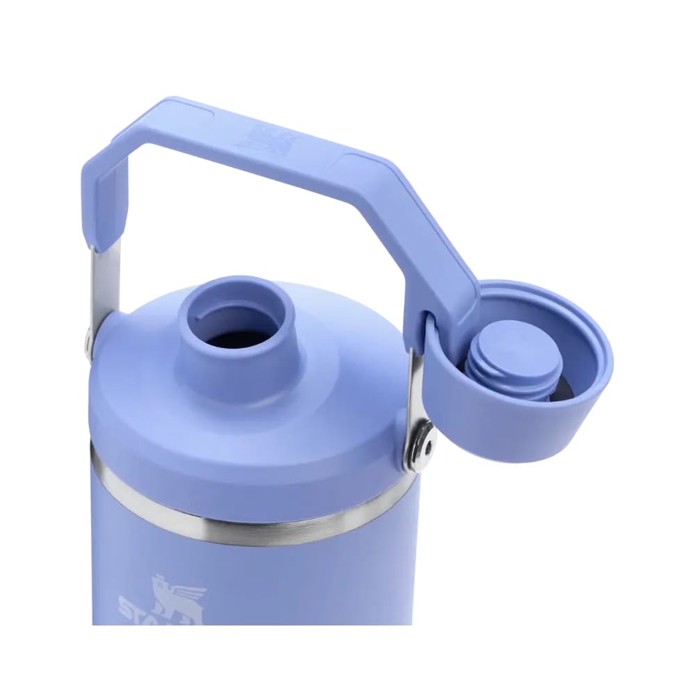 Stanley IceFlow Tumbler with Fast Flow Lid (40OZ) Hydrangea