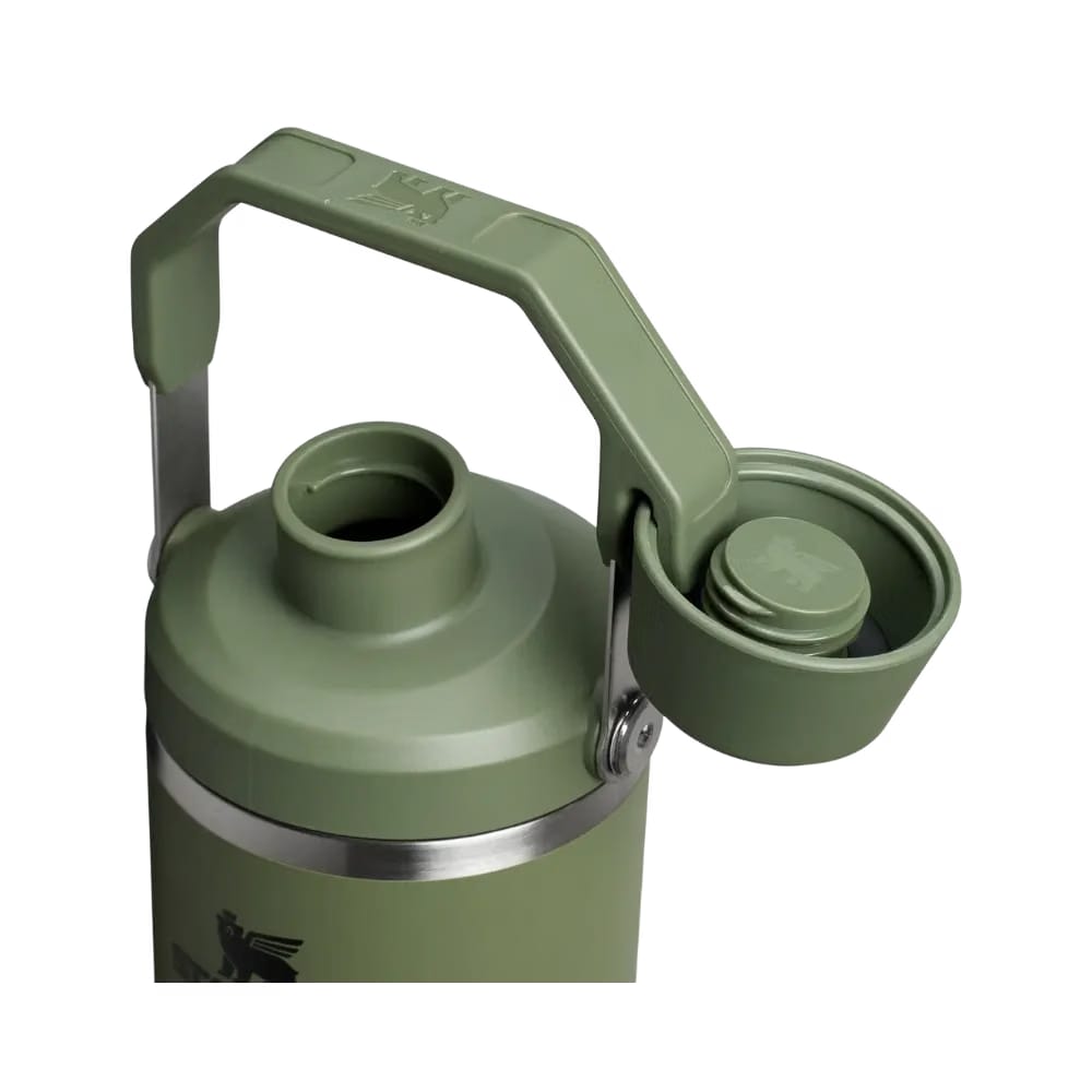 Stanley IceFlow Tumbler with Fast Flow Lid (30OZ) Dried Pine