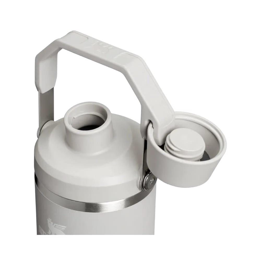 Stanley IceFlow Tumbler with Fast Flow Lid (30OZ) Ash