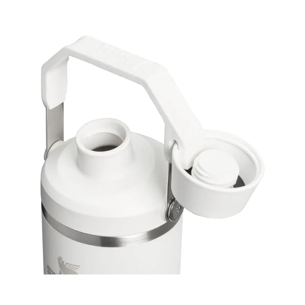 Stanley IceFlow Tumbler with Fast Flow Lid (30OZ) Frost
