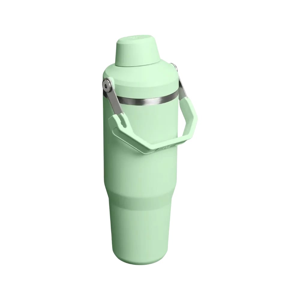 Stanley IceFlow Tumbler with Fast Flow Lid (30OZ) Pistachio