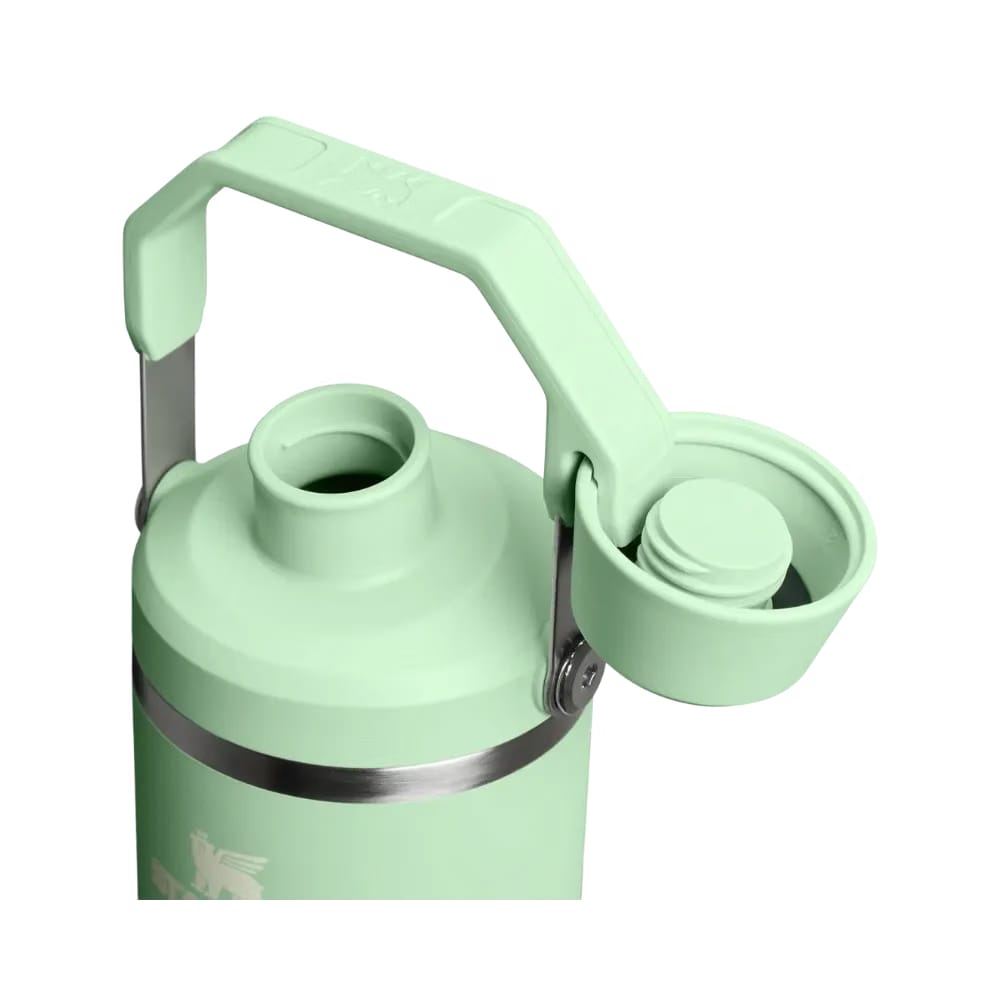 Stanley IceFlow Tumbler with Fast Flow Lid (30OZ) Pistachio
