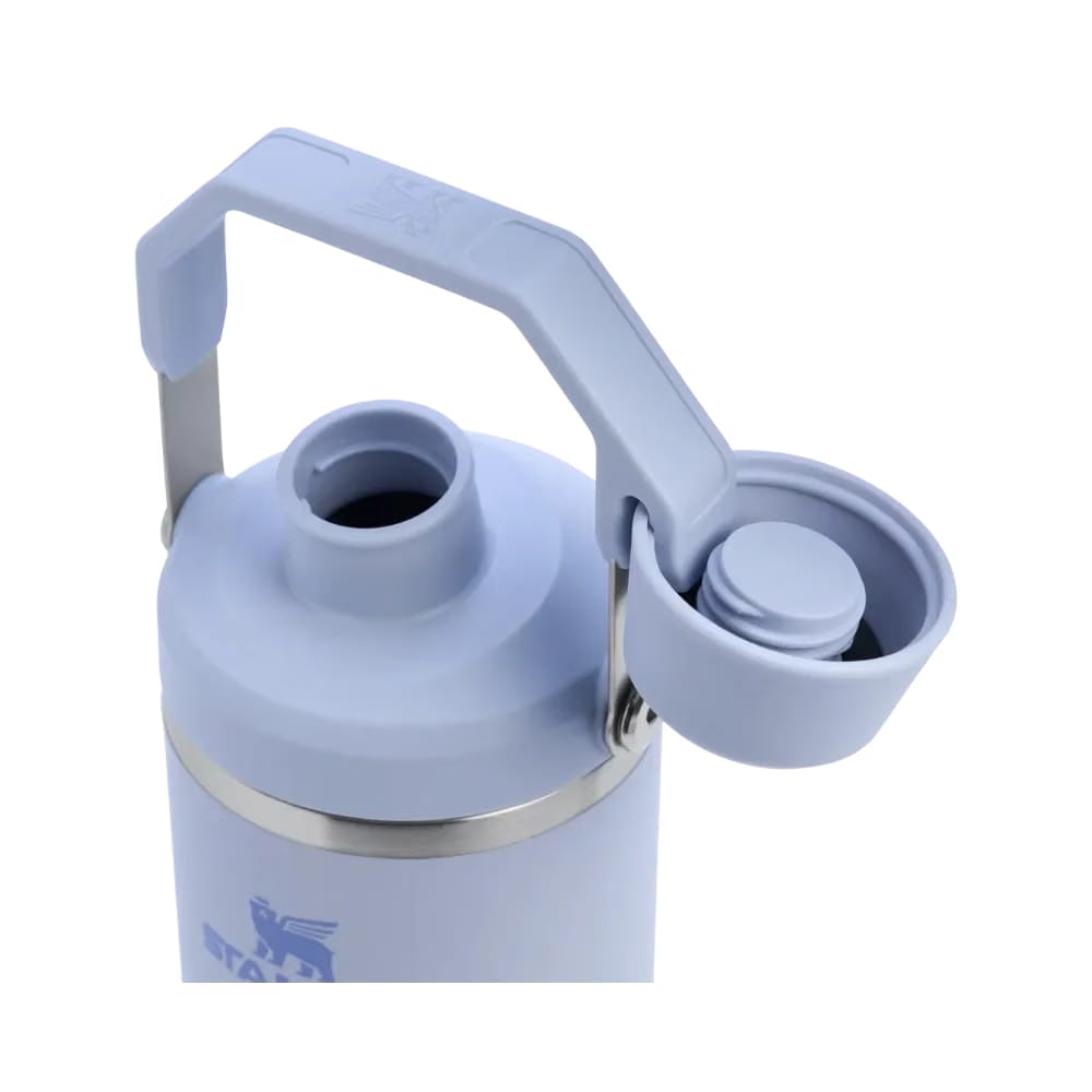 Stanley IceFlow Tumbler with Fast Flow Lid (30OZ) Dew Drop