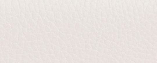 Coach Micro Wallet Silver Chalk