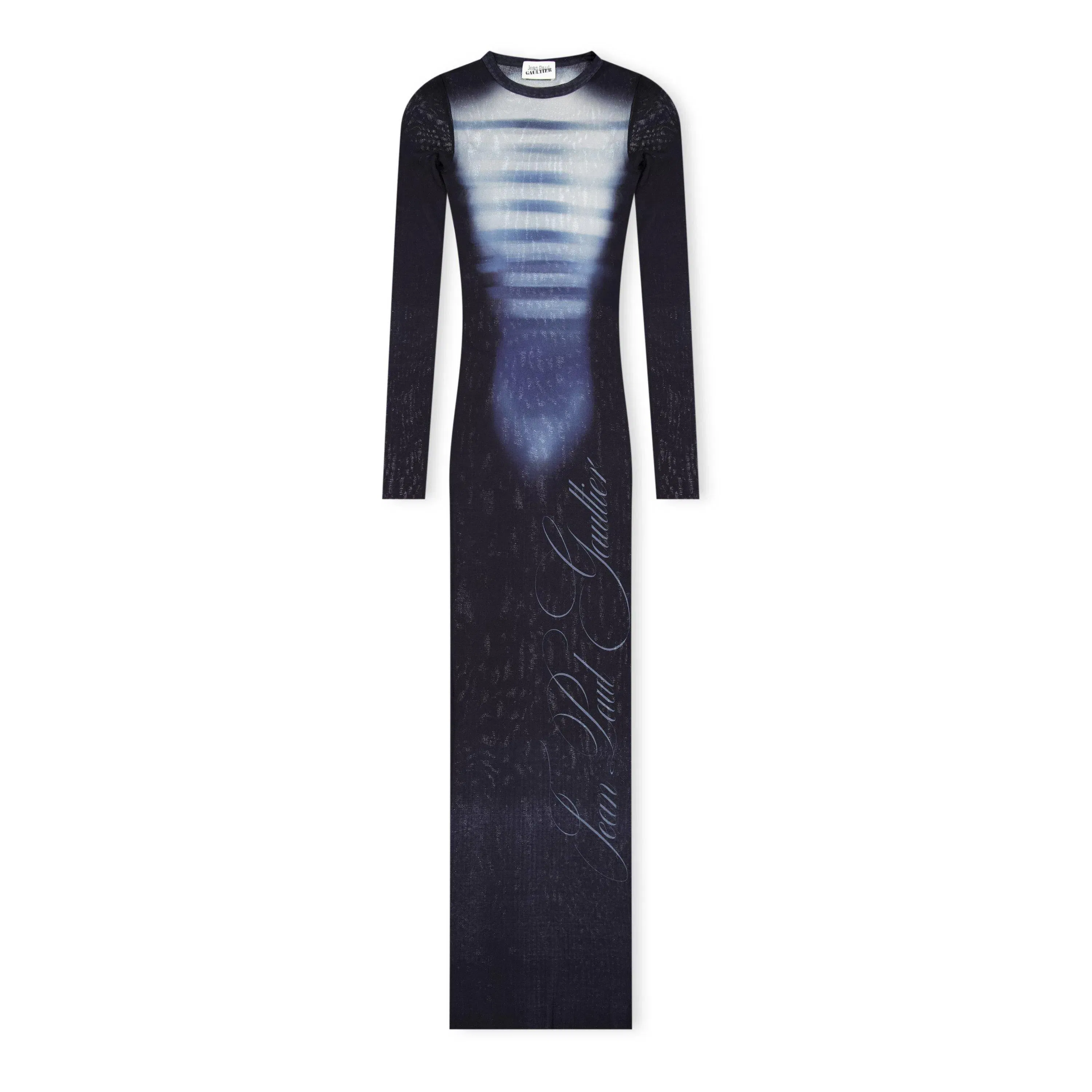 Long Sleeve Mesh Maxi Dress