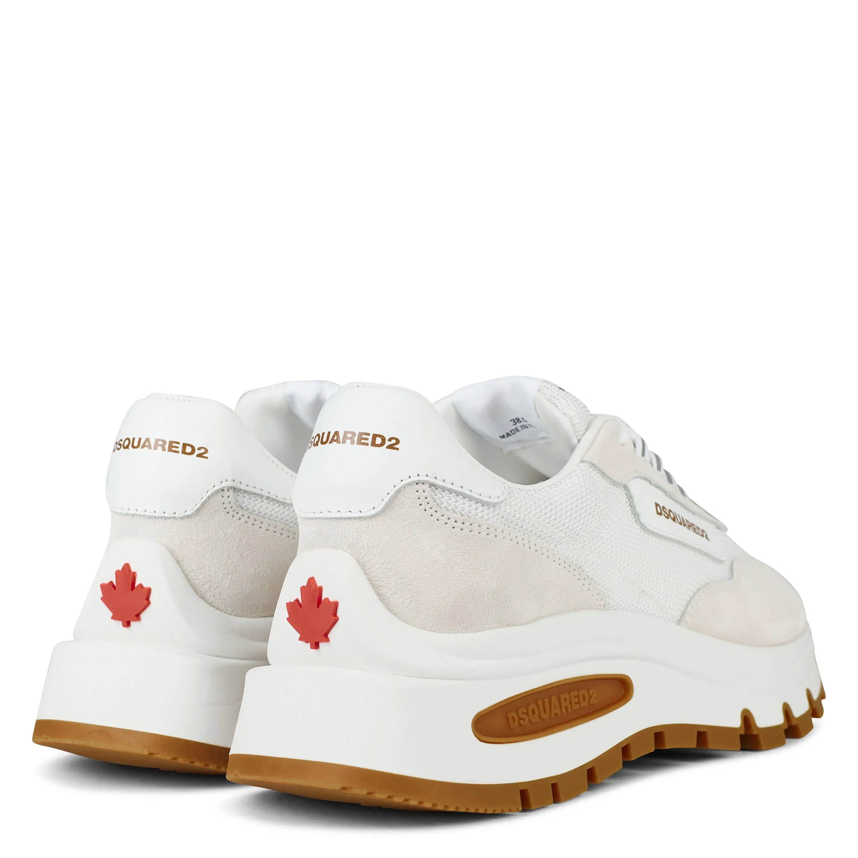 Run Ds2 Trainer