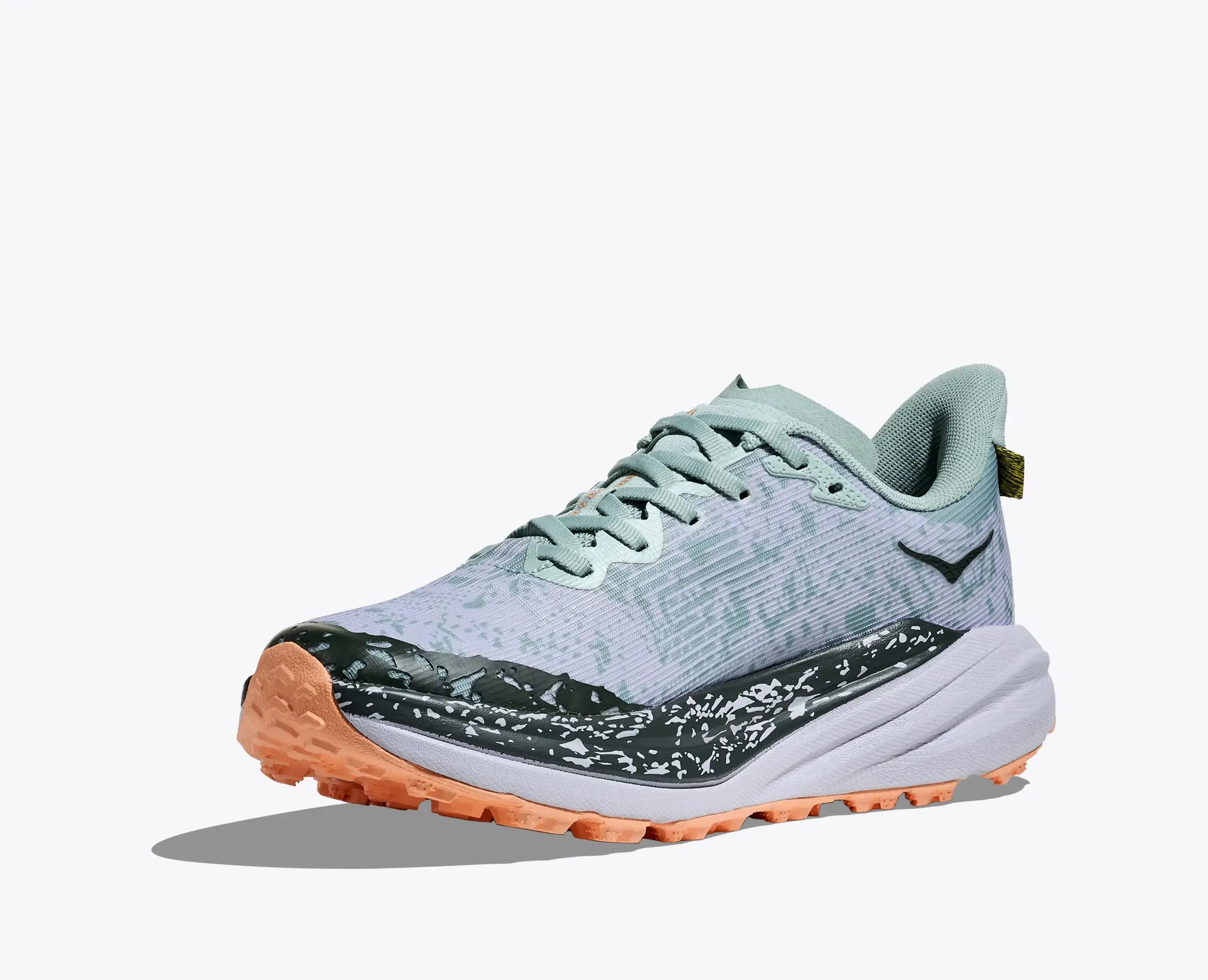 Hoka Women'S Speedgoat 6 Gtx Jade Ash Grey