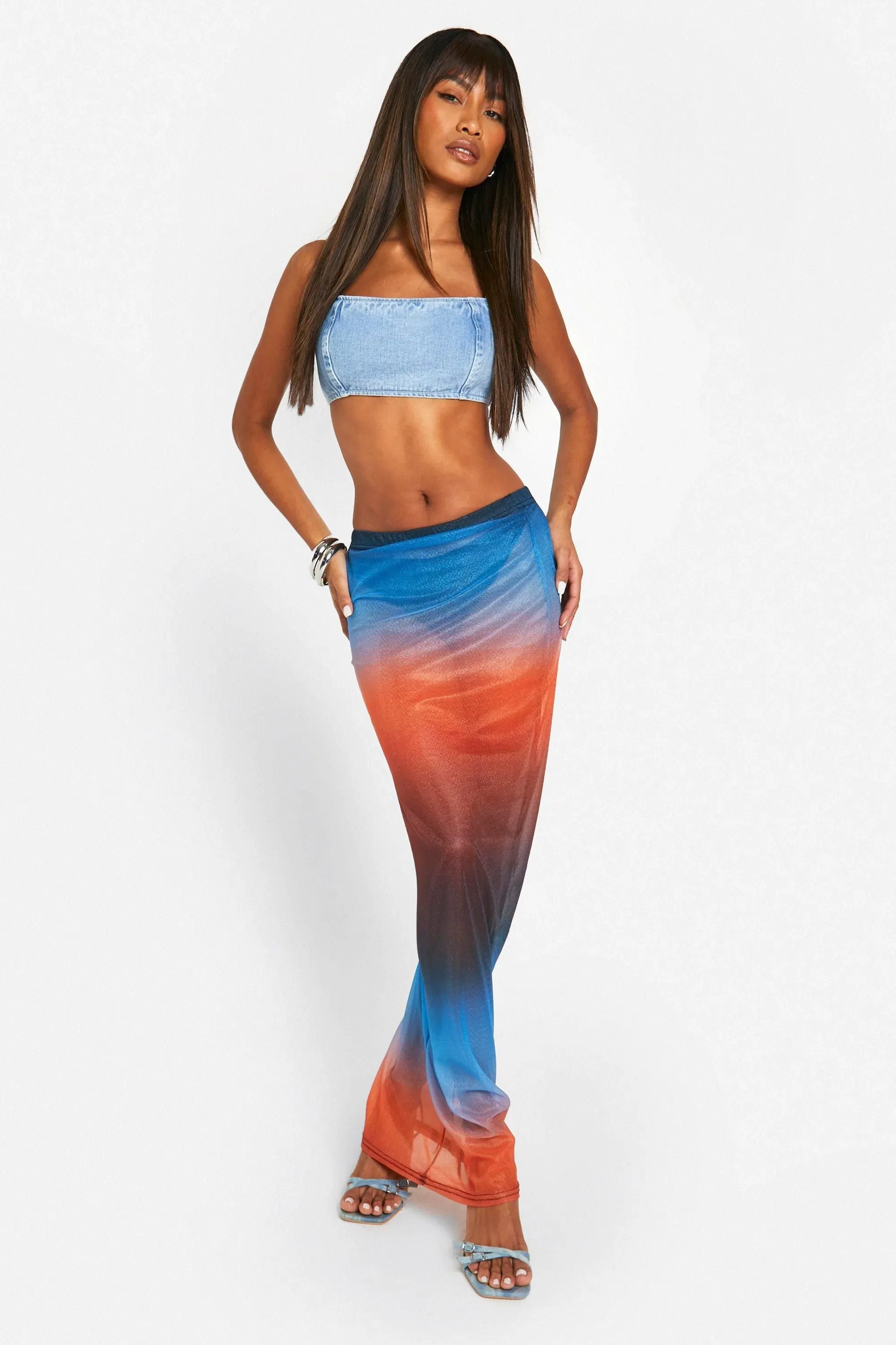 Ombre Mesh Maxi Skirt
