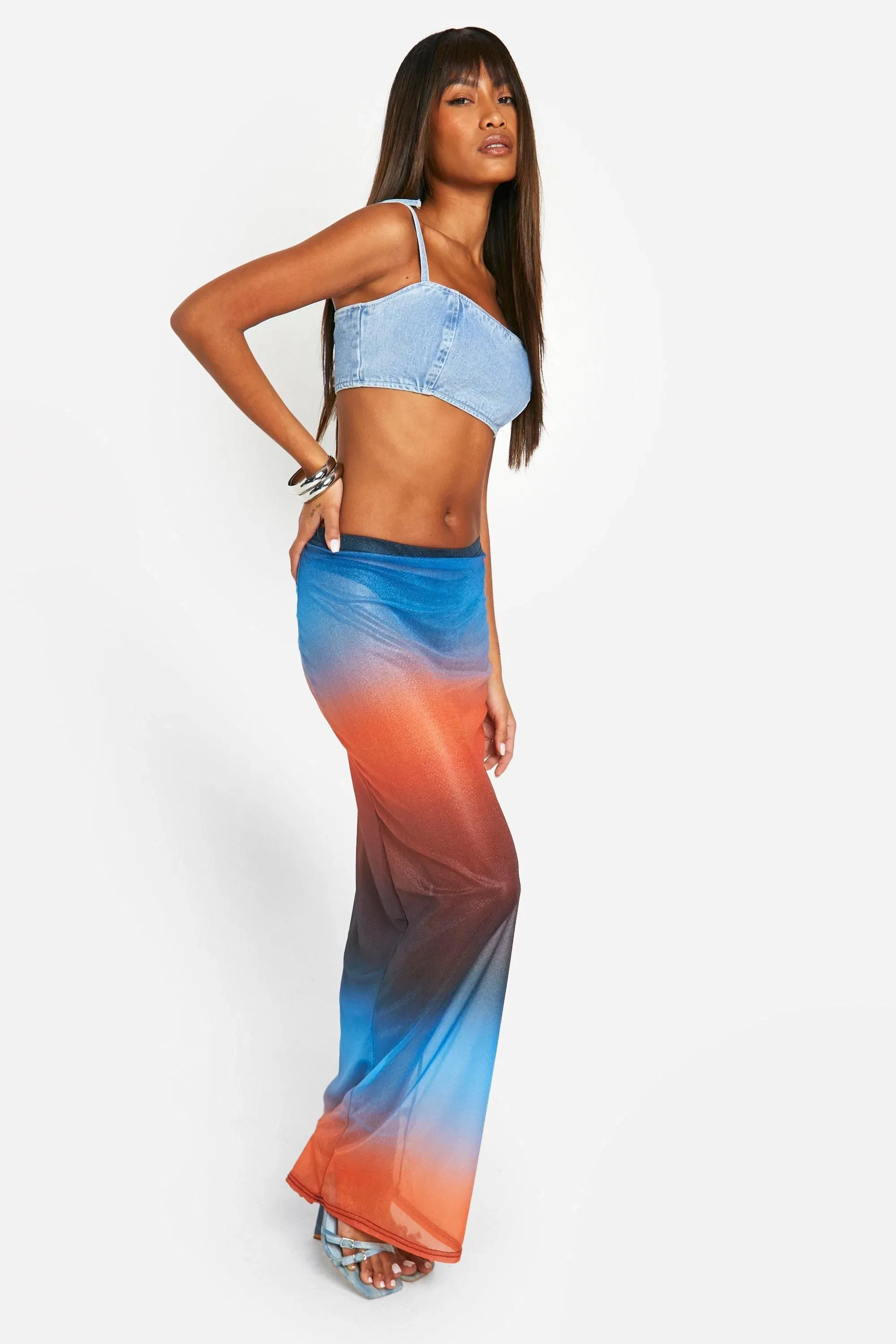Ombre Mesh Maxi Skirt