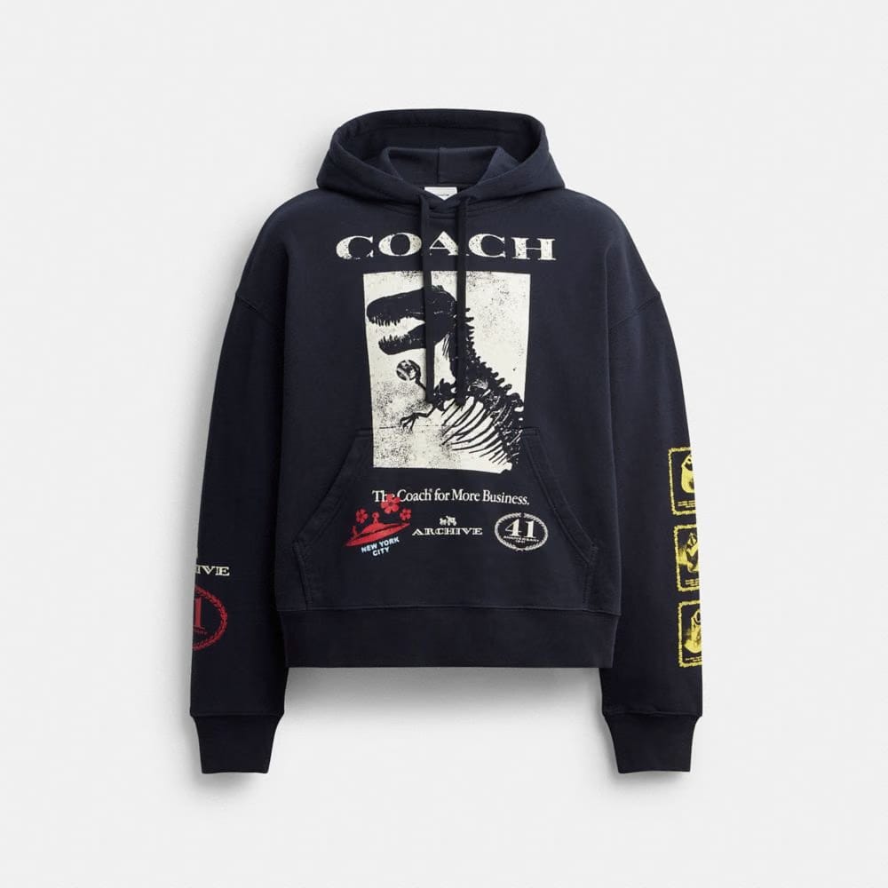 Dinosaur Collage Relaxed Hoodie In Organic Cotton