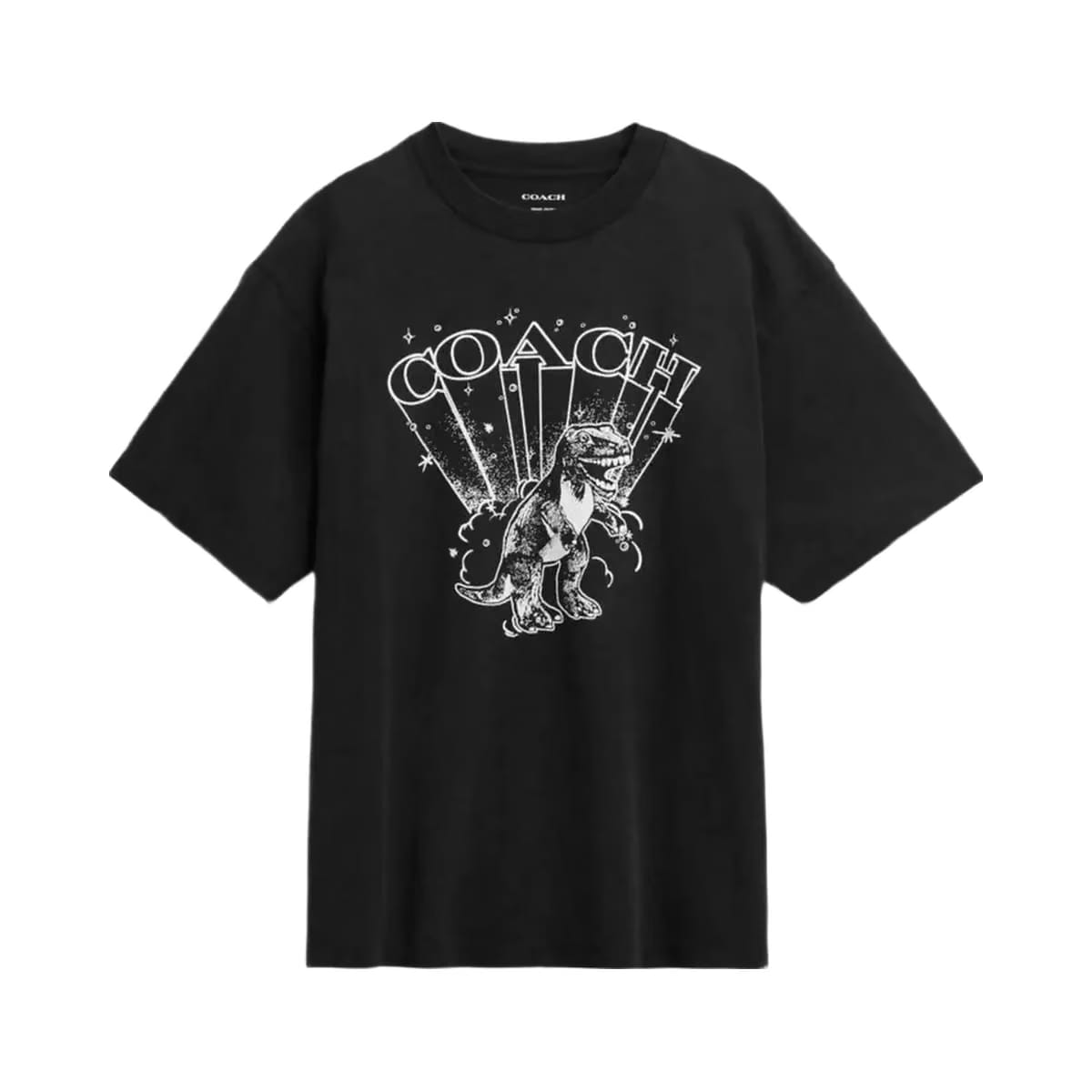 Coach T Rex Relaxed T-Shirt In Organic Cotton Washed Black