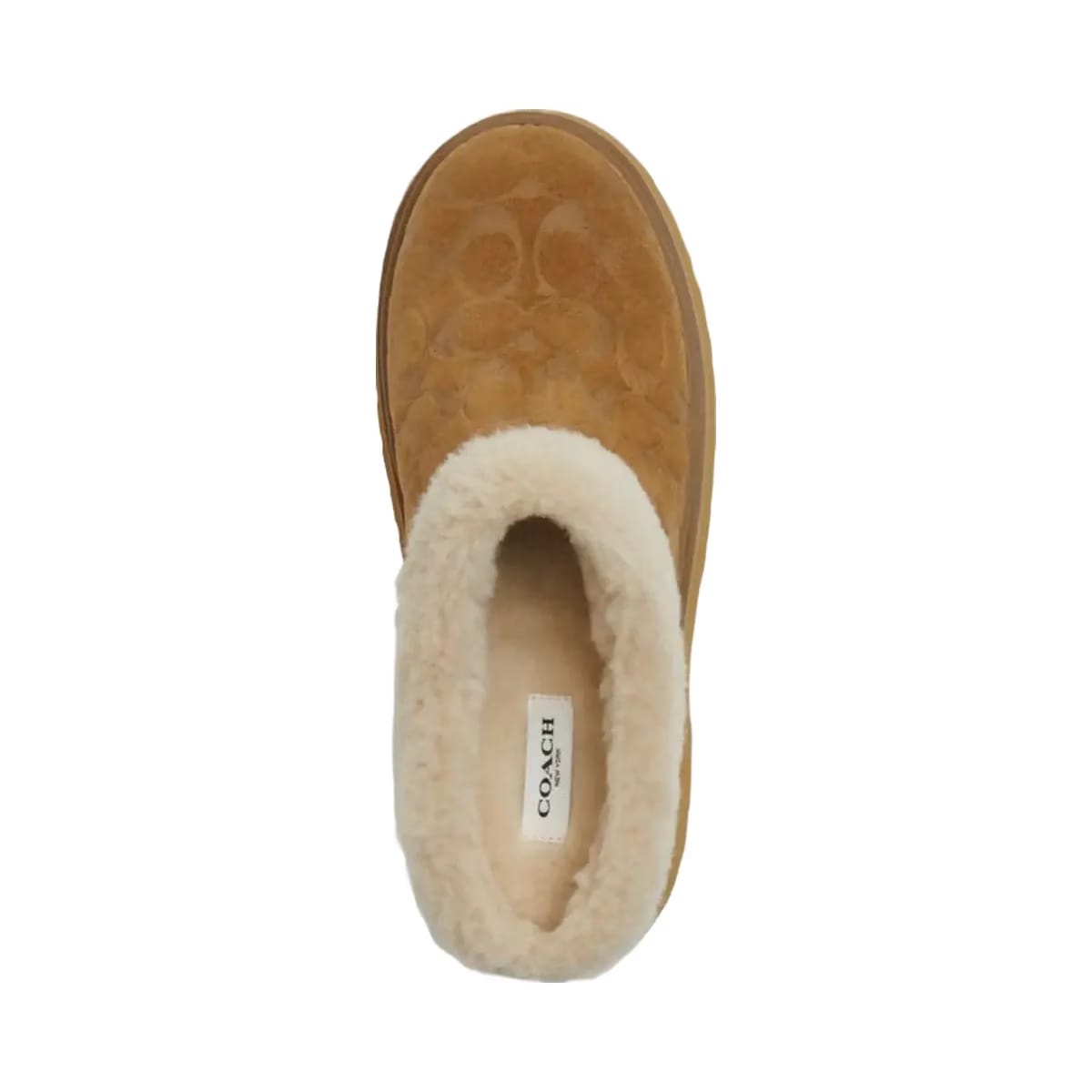 Coach Women's Cecelia Clog In Signature Suede Tobacco