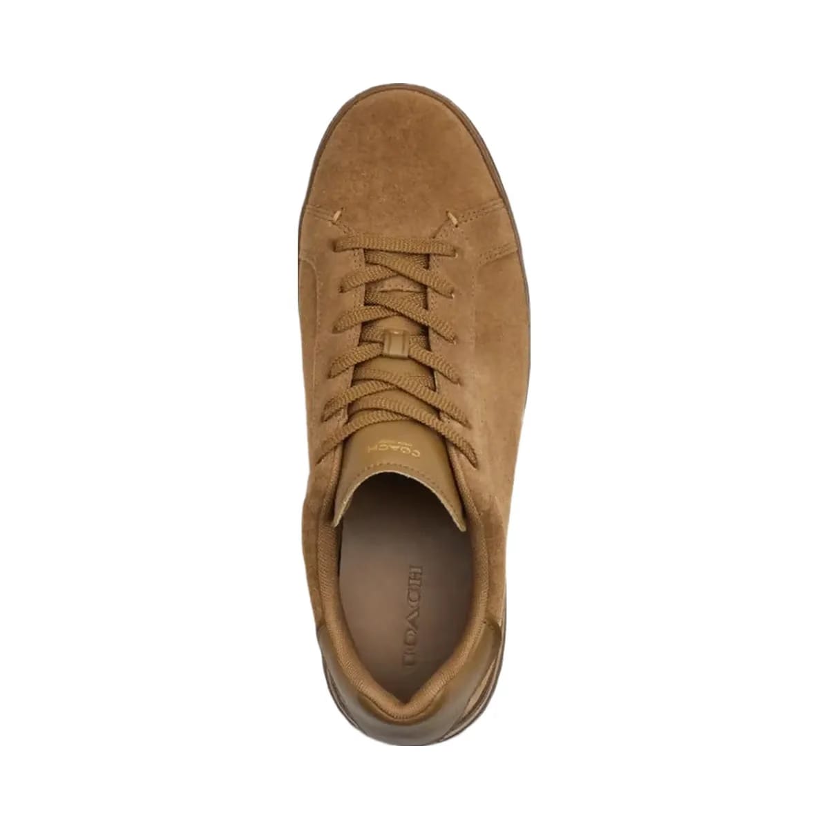 Coach Men's High Line Sneaker Coconut