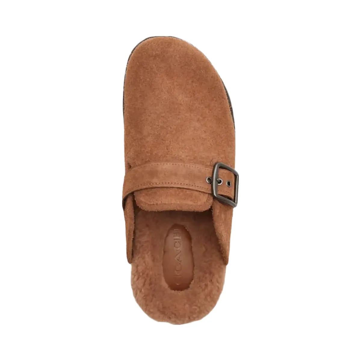 Coach Men's Buckle Clog Sable