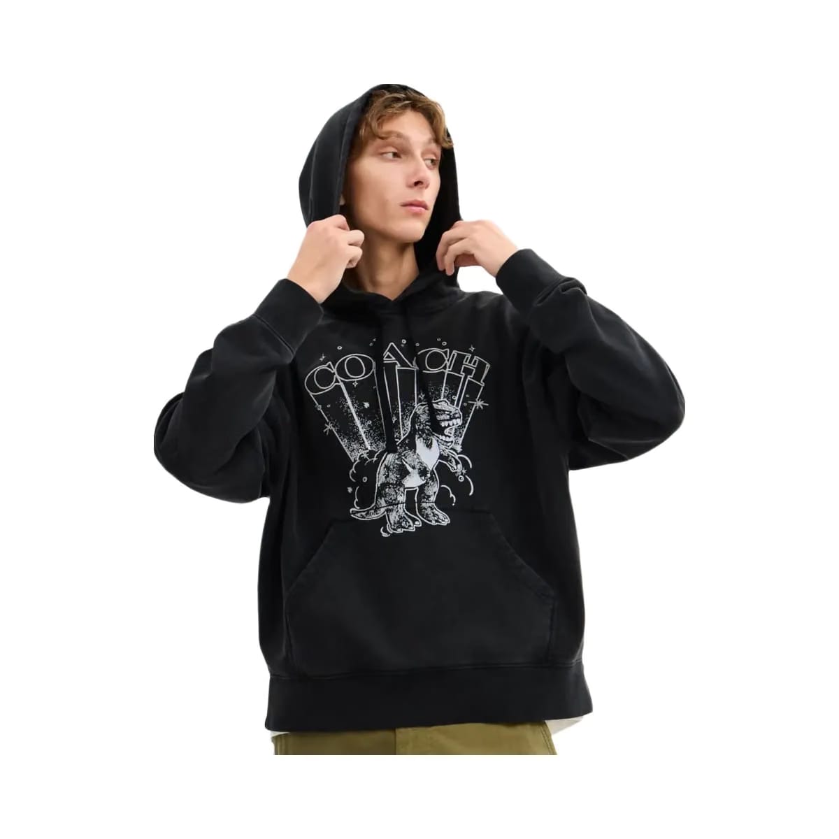 Coach T Rex Hoodie Washed Black