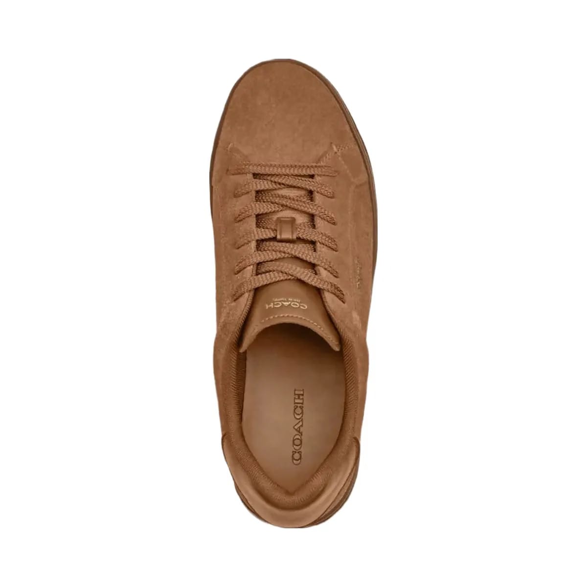 Coach Women's High Line Sneaker Coconut