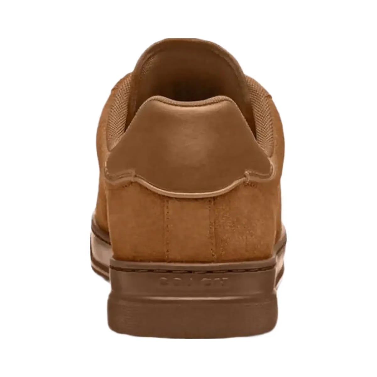 Coach Women's High Line Sneaker Coconut