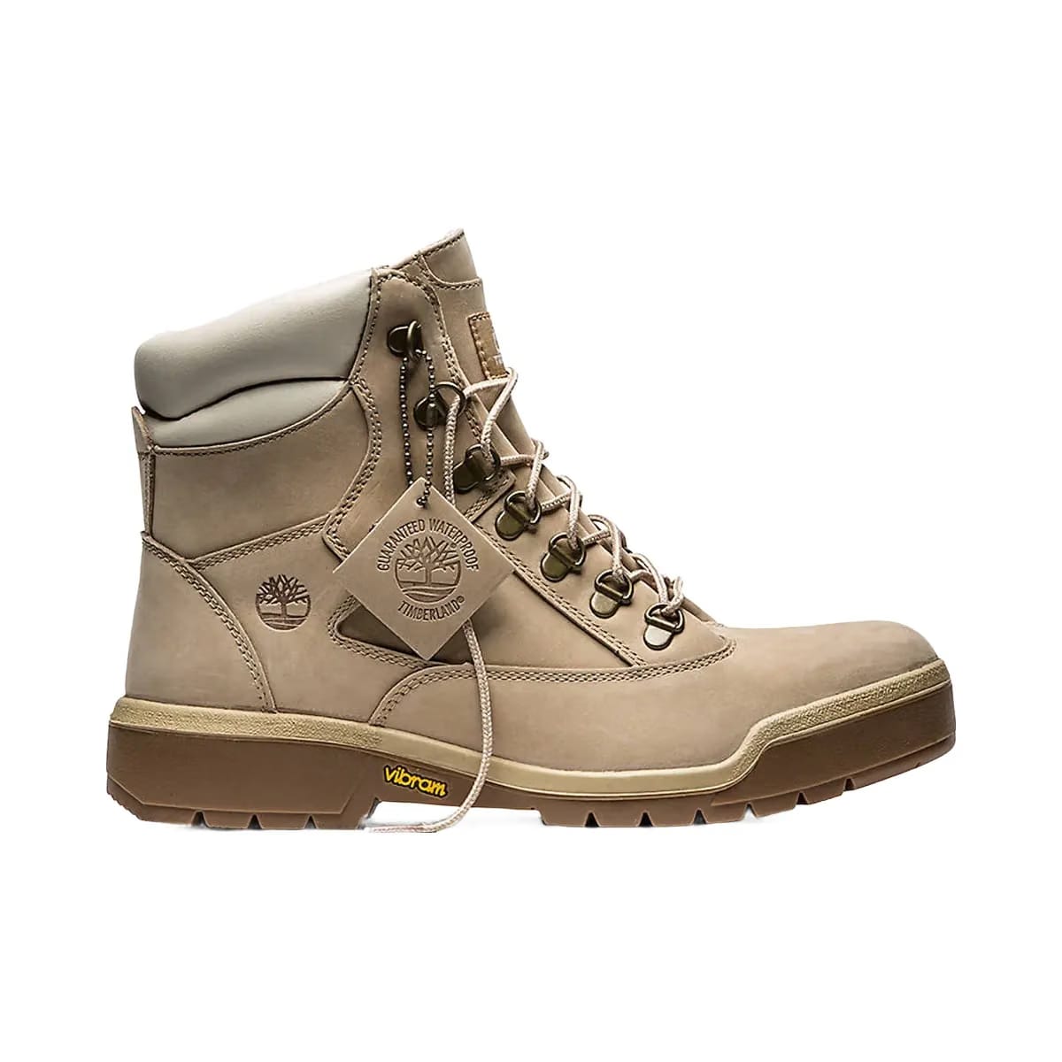 Timberland Field Boot 6" Gtx Croissant