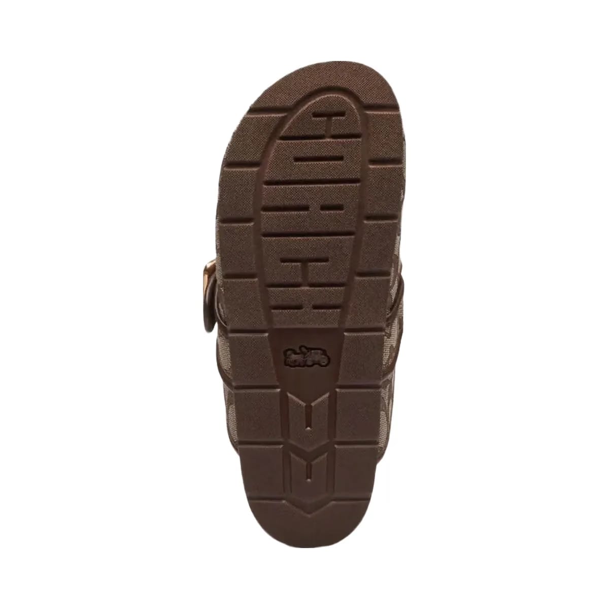 Coach Women's Archival Buckle Clog In Signature Jacquard Oak Maple