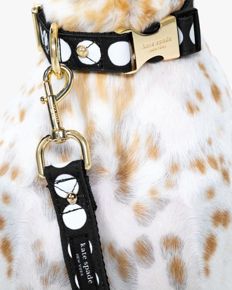 Art Dot Collar S/M