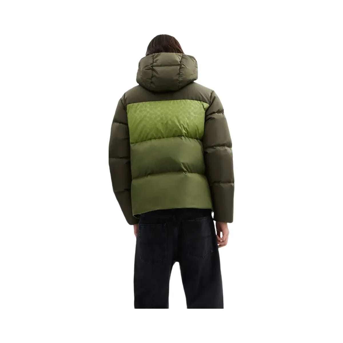 Coach Colorblock Down Jacket Green Multi