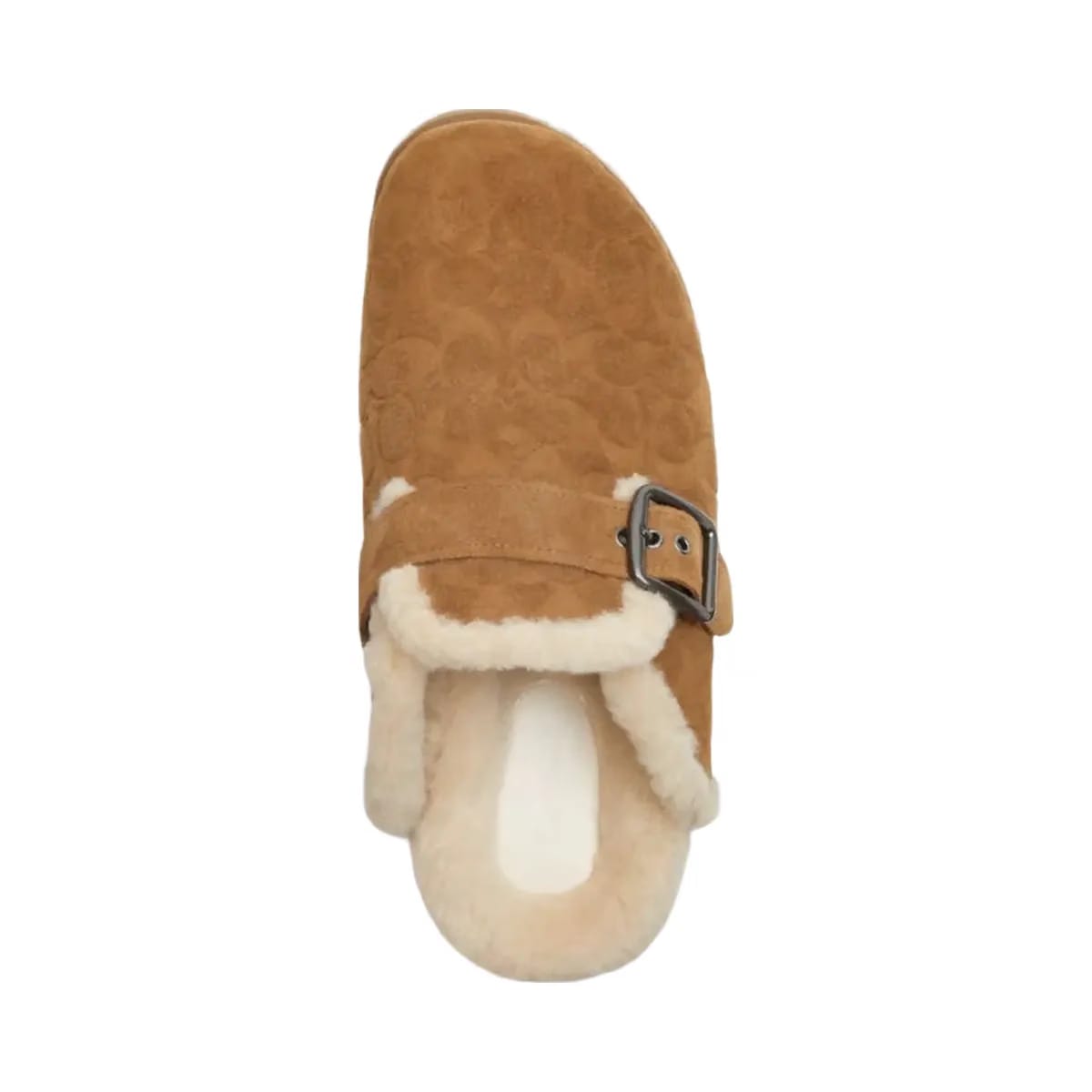 Coach Men's Buckle Clog In Signature Tobacco