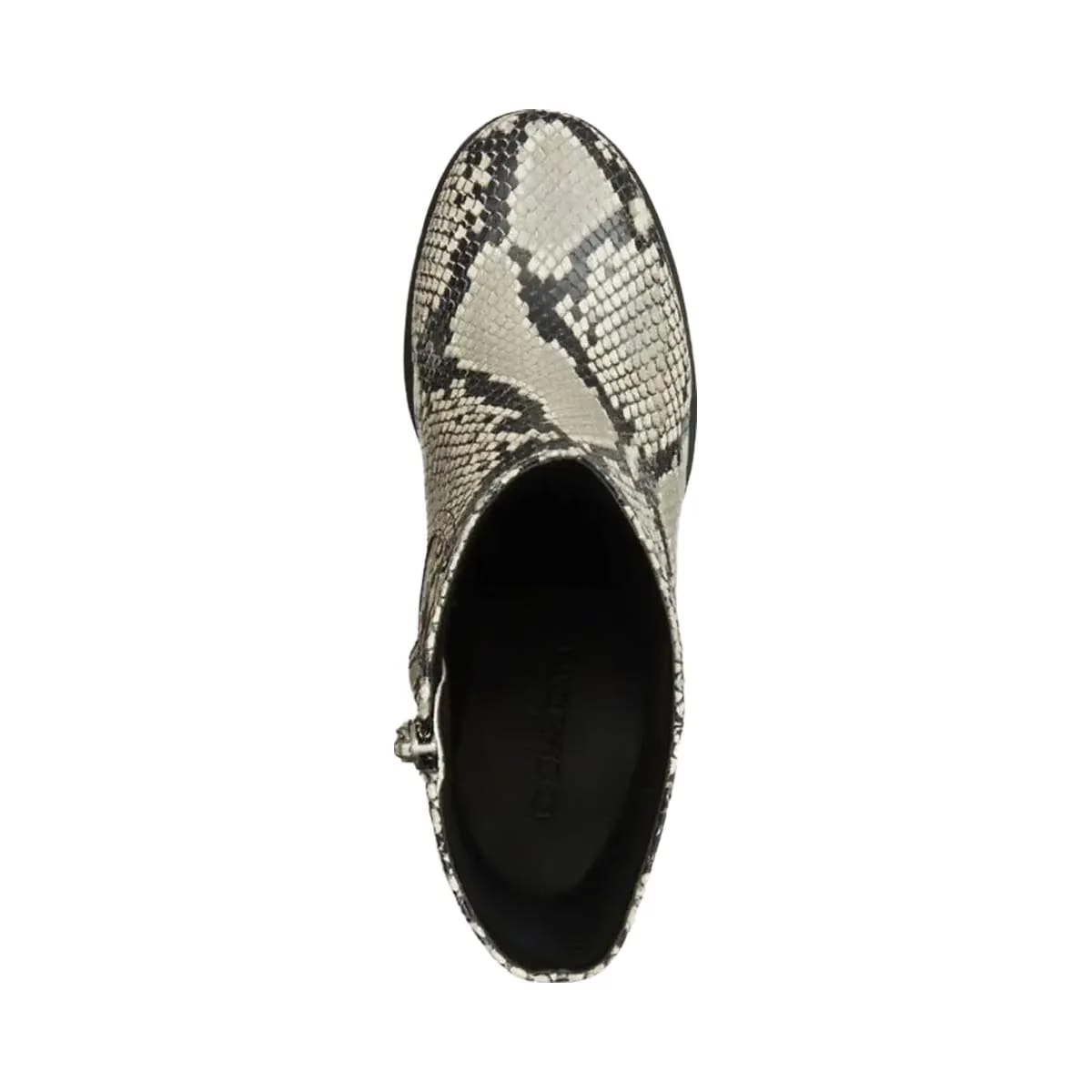 Coach Women's Block Heel Boot With Snake Print Natural