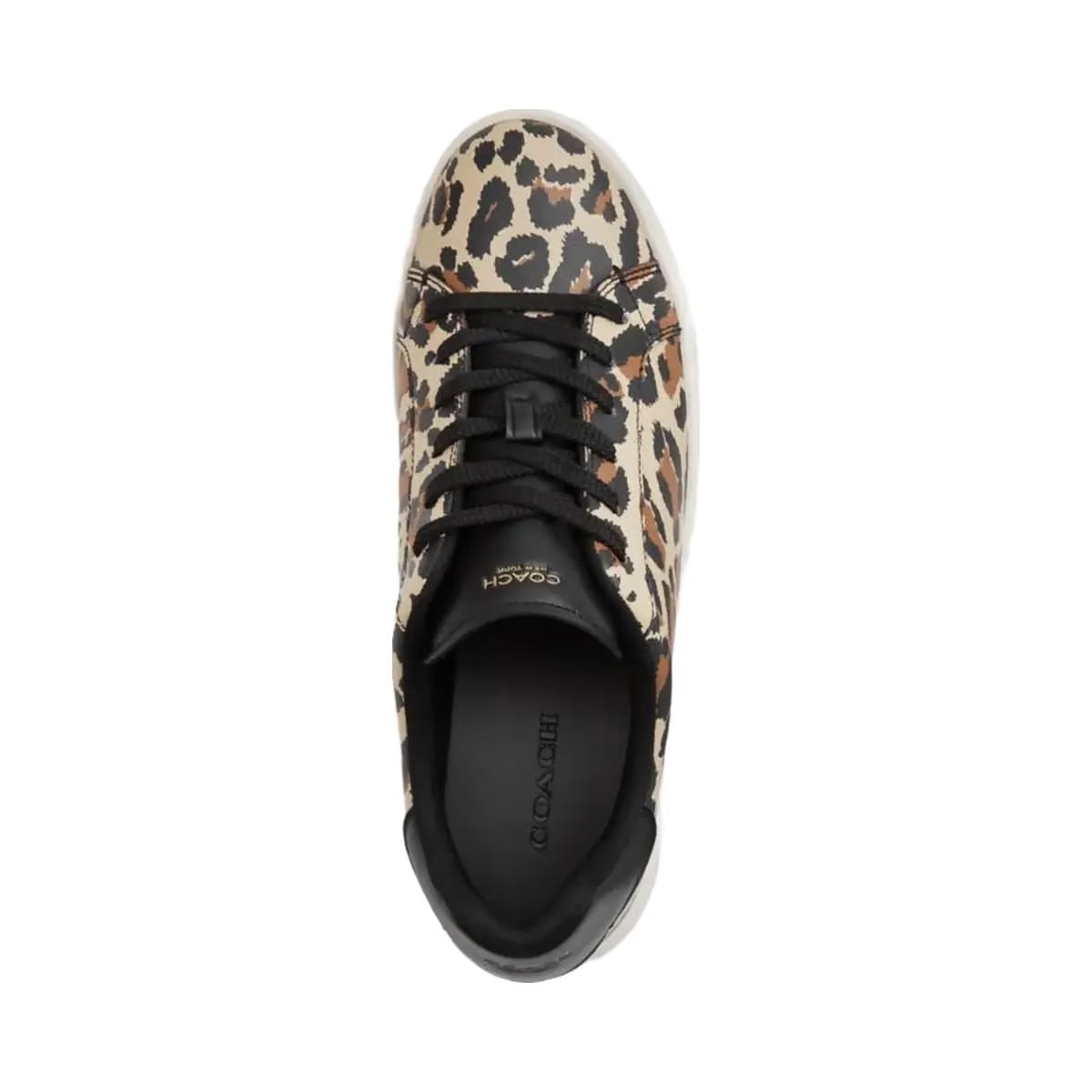 Coach Women's High Line Sneaker With Leopard Print Black Leopard