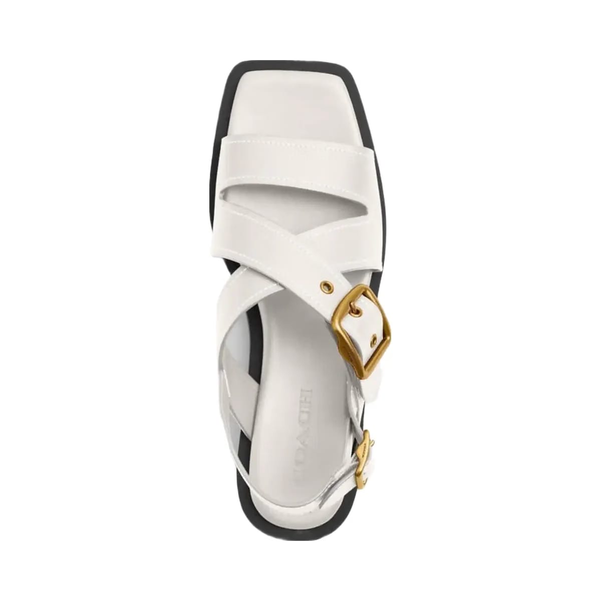 Coach Women's Archival Buckle Flat Sandal Chalk