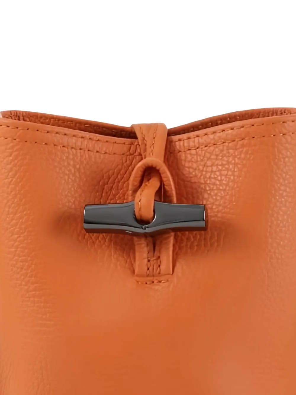 Le Roseau leather shoulder bag