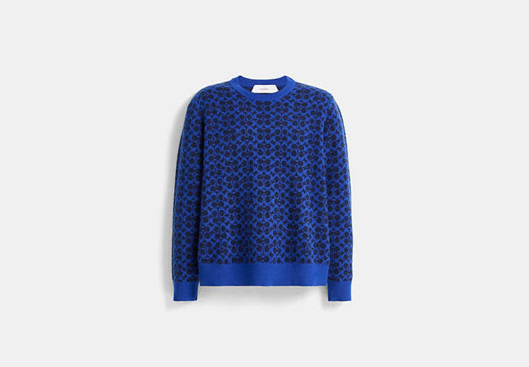 Restored Signature Sweater