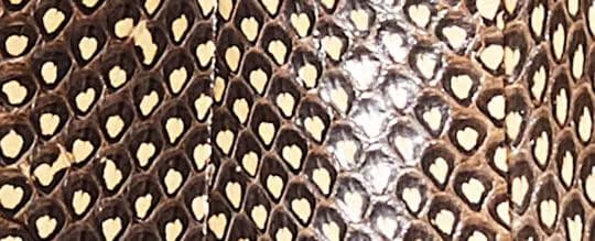 Restored Remi Bootie In Snakeskin