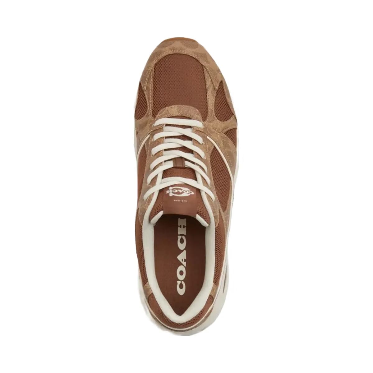 Coach Men's Sport Sneaker In Signature Canvas Sable Multi