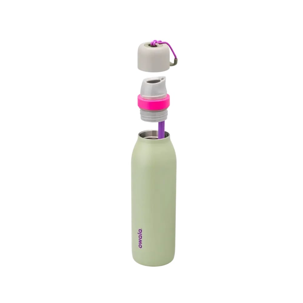 Owala Freesip-Twist 18oz "Neo Sage"