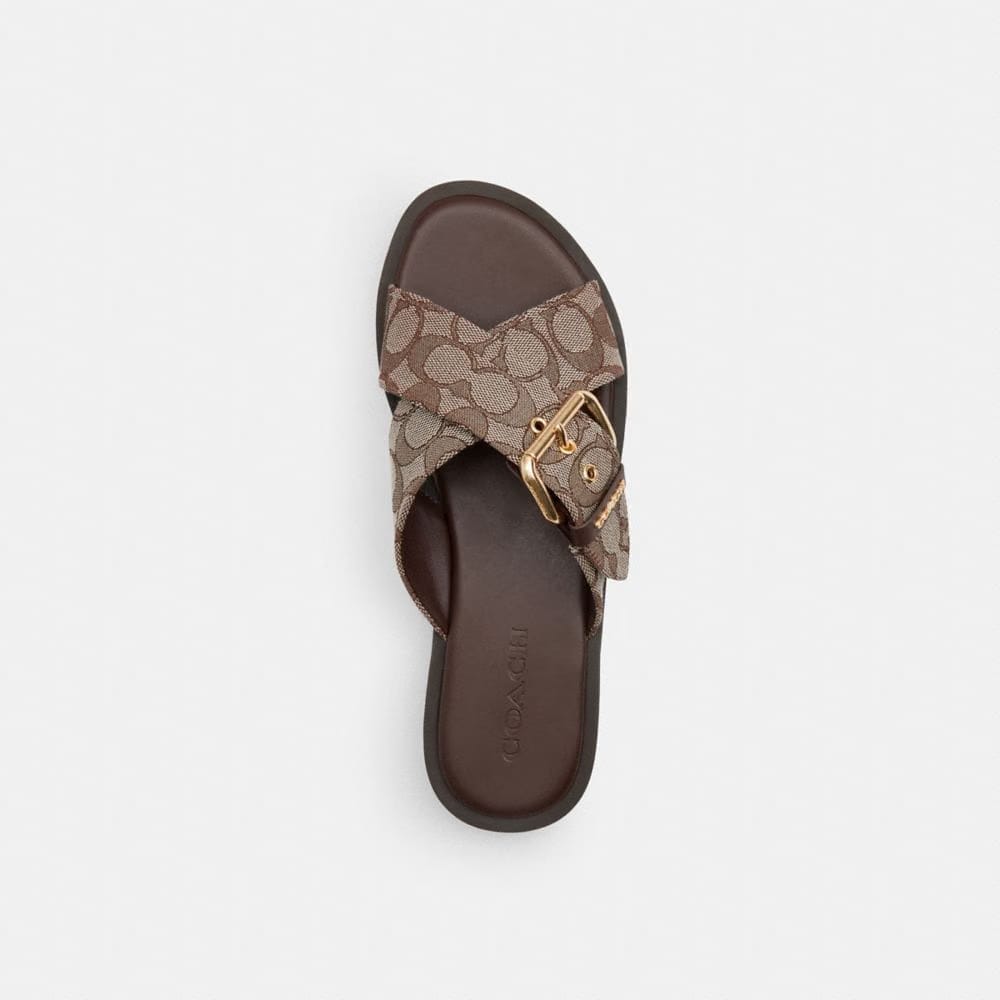 Women's Coach Crisscross Buckle Sandal In Signature Jacquard Oak Maple