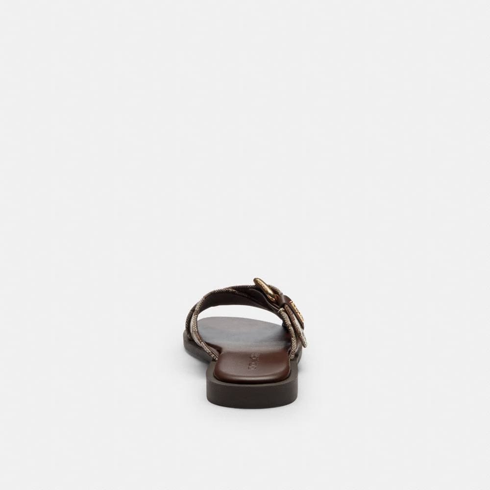 Women's Coach Crisscross Buckle Sandal In Signature Jacquard Oak Maple