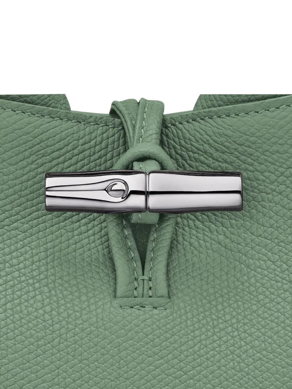Le Roseau XS leather mini bag